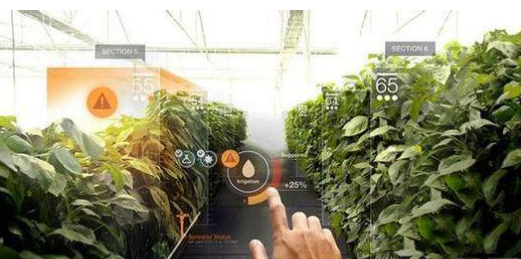 VR還能這么玩!農業(yè)+VR,玩轉農業(yè)新技術