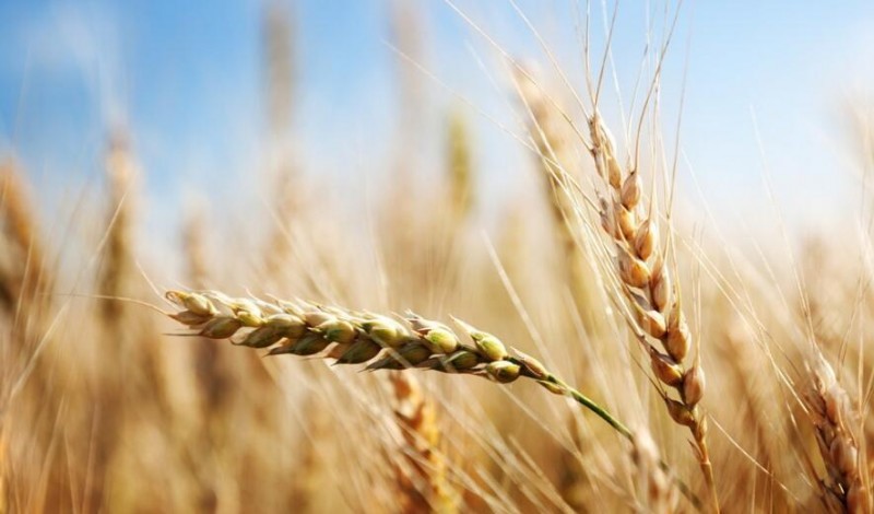 智慧農業發展基礎&mdash;四種數據、三大渠道