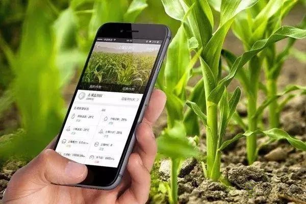 對不起,我跟著華為,辭職種地了!