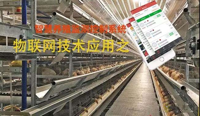 物聯(lián)網(wǎng)在智慧養(yǎng)殖監(jiān)控系統(tǒng)應(yīng)用