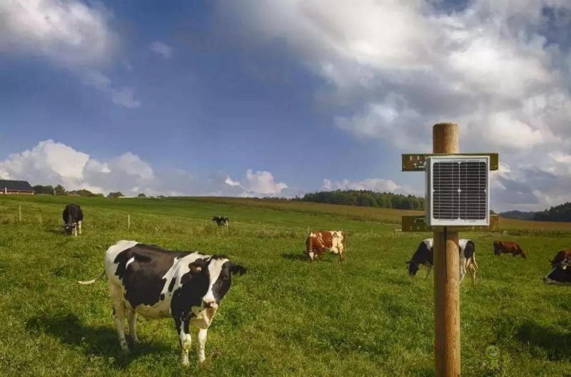 看數(shù)字農(nóng)業(yè)如何為中國(guó)農(nóng)業(yè)開展新道路