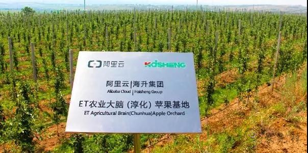 看數(shù)字農(nóng)業(yè)如何為中國(guó)農(nóng)業(yè)開展新道路