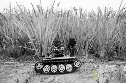 &ldquo;iDror智能農(nóng)業(yè)物聯(lián)網(wǎng)機器人&ldquo;幫助農(nóng)民解決實際問題