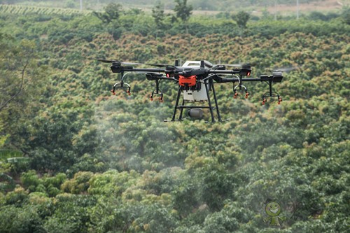 果園機械也過平安夜?