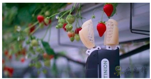 農(nóng)業(yè)機(jī)器人崛起會(huì)對(duì)農(nóng)民帶來(lái)負(fù)面影響嗎