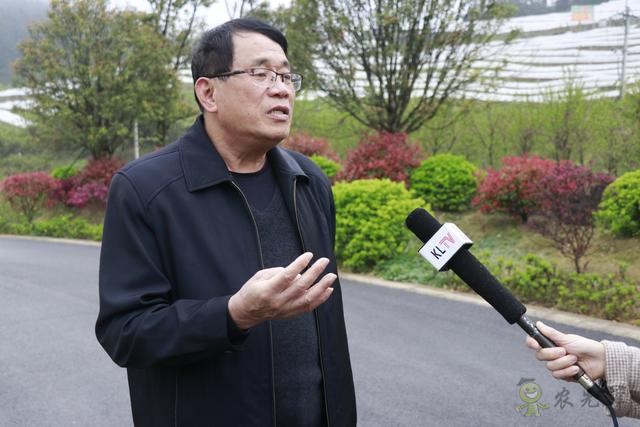 凱里：傳統農業插上現代&ldquo;翅膀&rdquo;