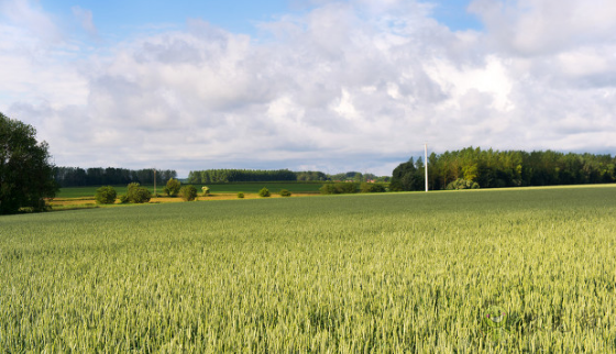 智慧農業駛上&ldquo;快車道&rdquo;還有哪些問題要解決