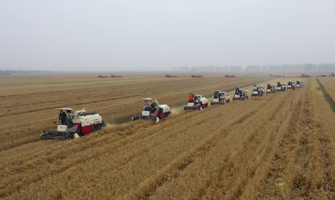 農業(yè)農村部積極協(xié)調支持湖北&ldquo;三夏&rdquo;農機作業(yè)