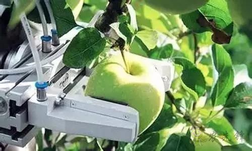 Tractica預計，到2025年，農業(yè)機器人的全球市場價值將達到879億美元。