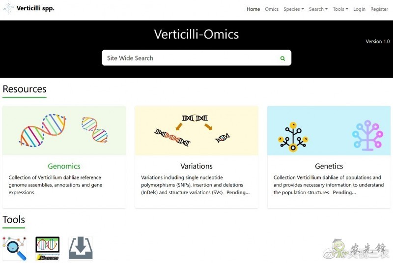 全球首個作物黃萎病菌資源和基因組數據庫正式上線