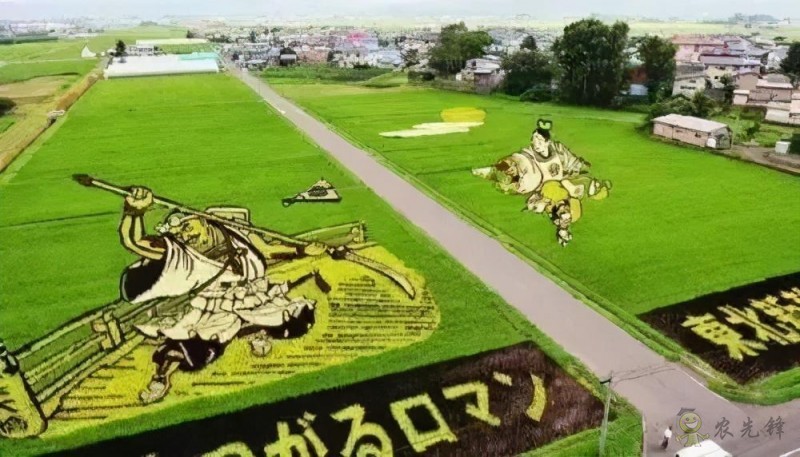 農(nóng)業(yè)模式