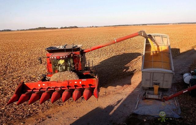 美國(guó)農(nóng)業(yè)