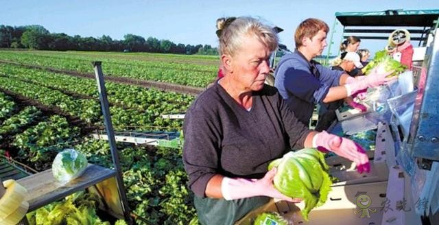 美國(guó)農(nóng)業(yè)