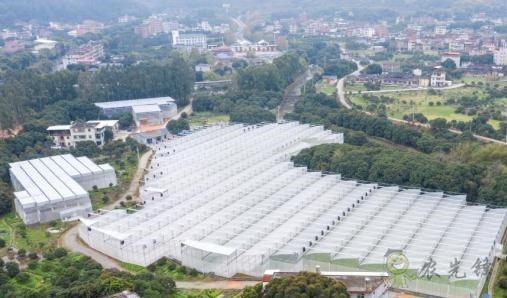 現(xiàn)代農業(yè)