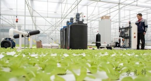 現(xiàn)代農業(yè)