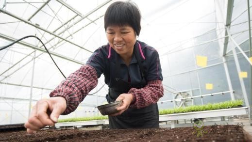 現(xiàn)代農業(yè)