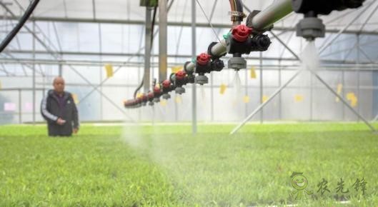 現(xiàn)代農業(yè)