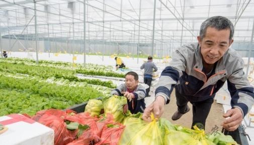 現(xiàn)代農業(yè)