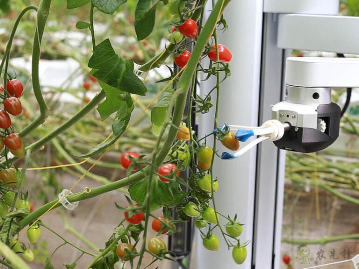 農(nóng)業(yè)機器人