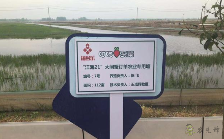 &ldquo;互聯網+農業&rdquo;重構產銷  叮咚買菜訂單農業養殖新模式