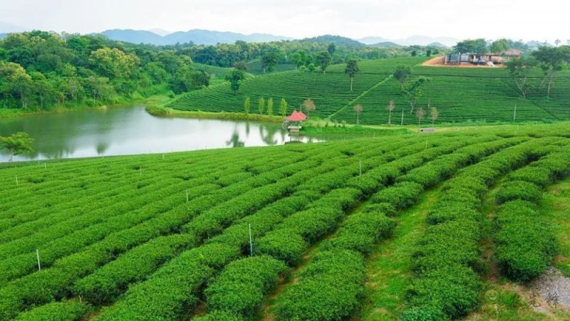 生態循環農業&rdquo;的發展重點  這五點值得關注