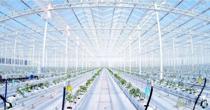 【農(nóng)業(yè)科技】智慧農(nóng)業(yè)會成為鄉(xiāng)村振興的利器嗎?