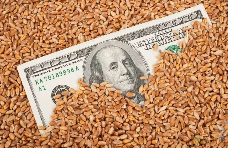 【深度透視】美國糧食巨頭是怎樣一步一步控制壟斷中國糧食的?