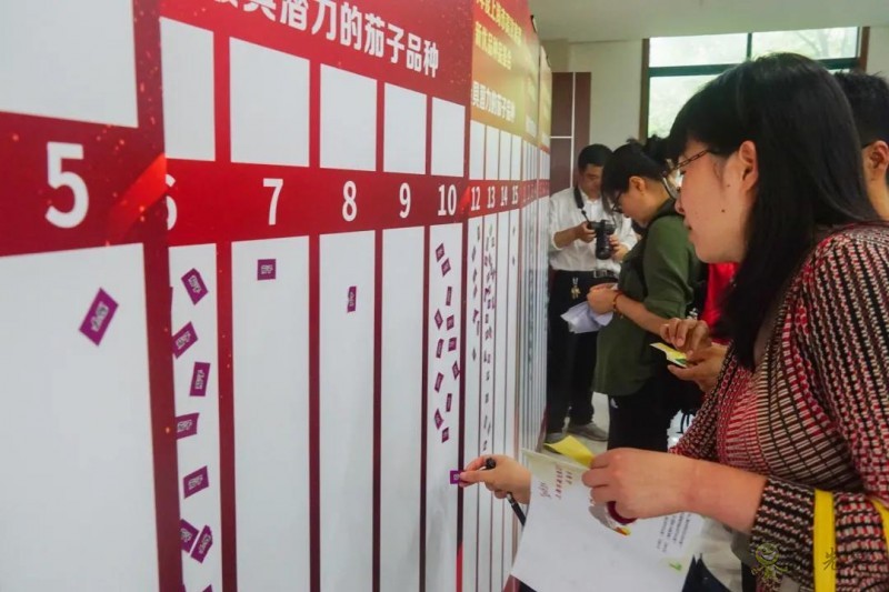 高效果菜新優(yōu)品種品鑒交流會舉行，一批優(yōu)質(zhì)新品種有望走上市民餐桌