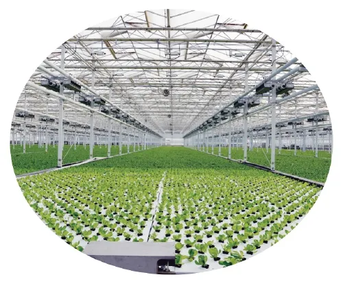 楊凌:強化使命擔當 交好“上合答卷”