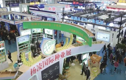 楊凌:強化使命擔當 交好“上合答卷”