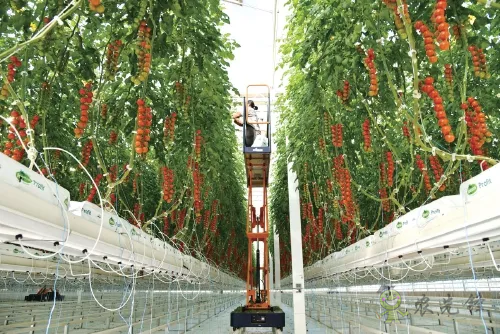 楊凌:強化使命擔當 交好“上合答卷”