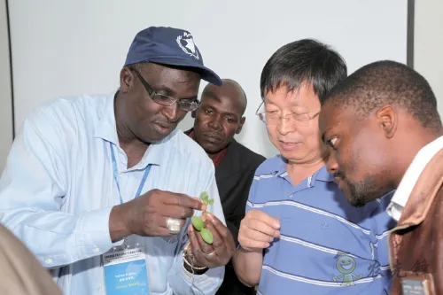 楊凌:強化使命擔當 交好“上合答卷”