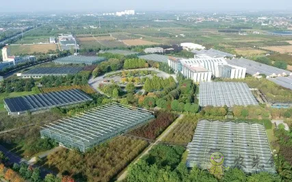 楊凌:強化使命擔當 交好“上合答卷”