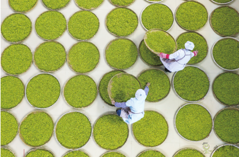 《鄉(xiāng)村振興戰(zhàn)略規(guī)劃實(shí)施報(bào)告（2020年）》出版發(fā)布