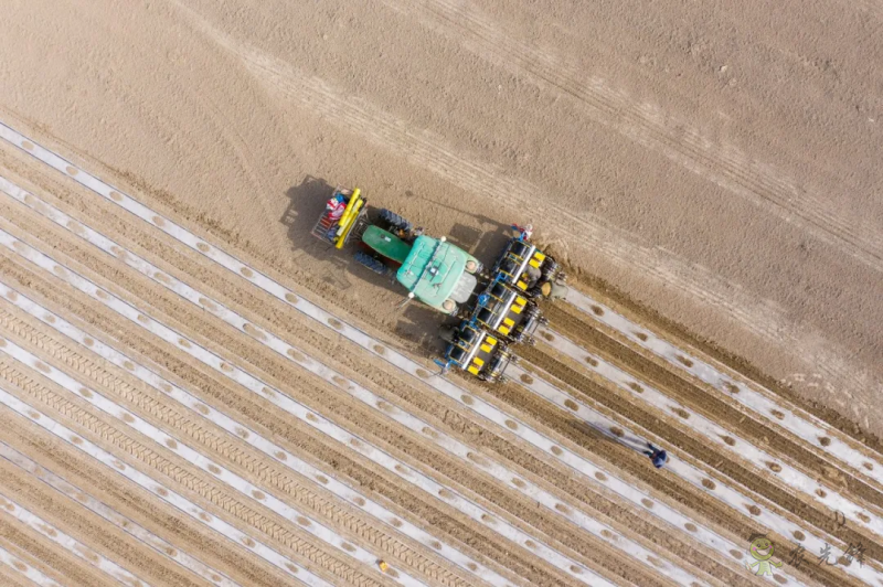 亮相新疆農(nóng)機(jī)展，極飛展示棉花智能化生產(chǎn)硬核實(shí)力
