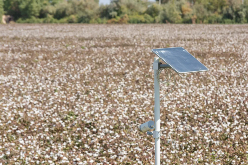 亮相新疆農(nóng)機(jī)展，極飛展示棉花智能化生產(chǎn)硬核實(shí)力