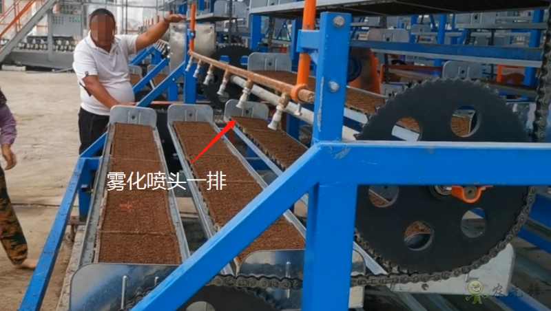 水稻工廠化育秧之立體層架晚稻育秧的幾點(diǎn)注意事項(xiàng)