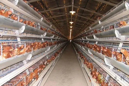 我國智慧畜牧業(yè)發(fā)展現(xiàn)狀與趨勢