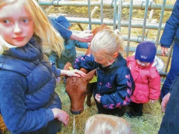 有機農業(yè)的全球典范：丹麥經驗