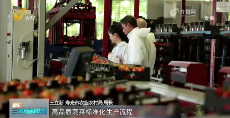 &ldquo;壽光標準&rdquo;向全國輸出 推動蔬菜產業提檔升級