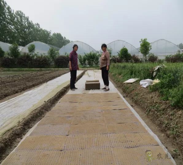 2021年農業農村部重大引領性技術發布!