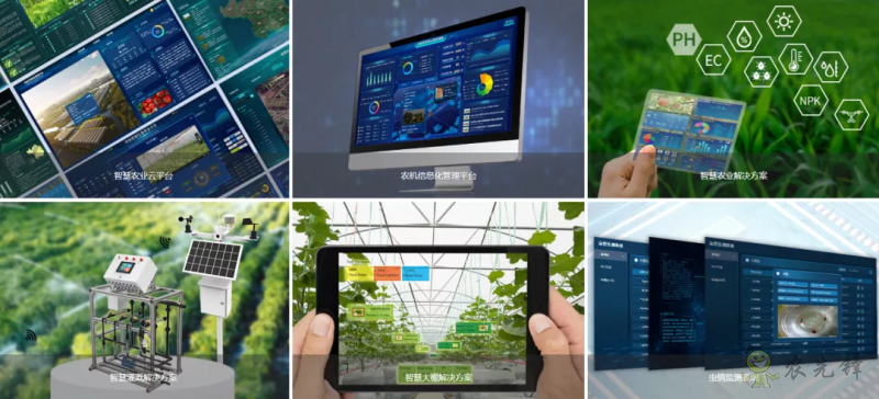 中國數字經濟規模全球第二,“農業數字革命”正在到來
