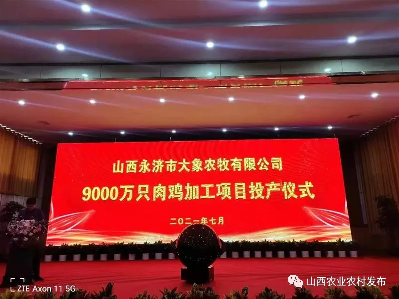 山西：&ldquo;五好&rdquo;畜牧領跑農業高質量發展