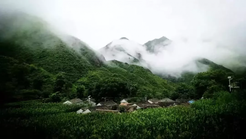 當代中國農業轉型技術選擇之爭:化學化？轉基因？