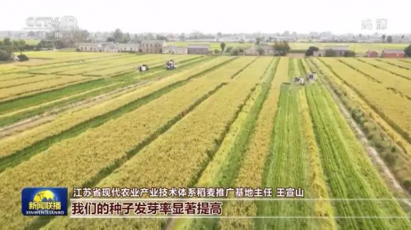 我國秋糧大面積開鐮 農(nóng)業(yè)科技現(xiàn)代化加快推進(jìn)