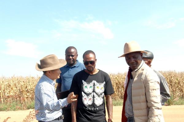 &ldquo;中國農技&rdquo;&ldquo;中國農機&rdquo;&ldquo;中國農場&rdquo;助力非洲農業(yè)發(fā)展