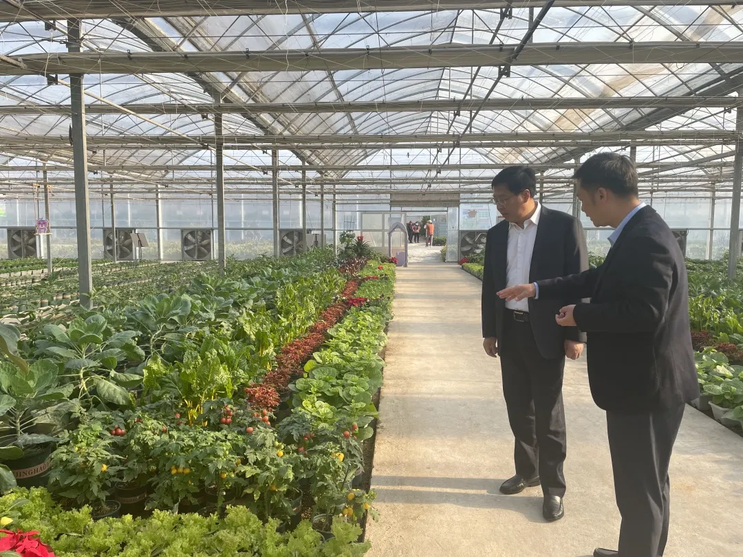 第五屆中國&middot;江蘇蔬菜種業博覽會開幕 1511個品種集體亮相