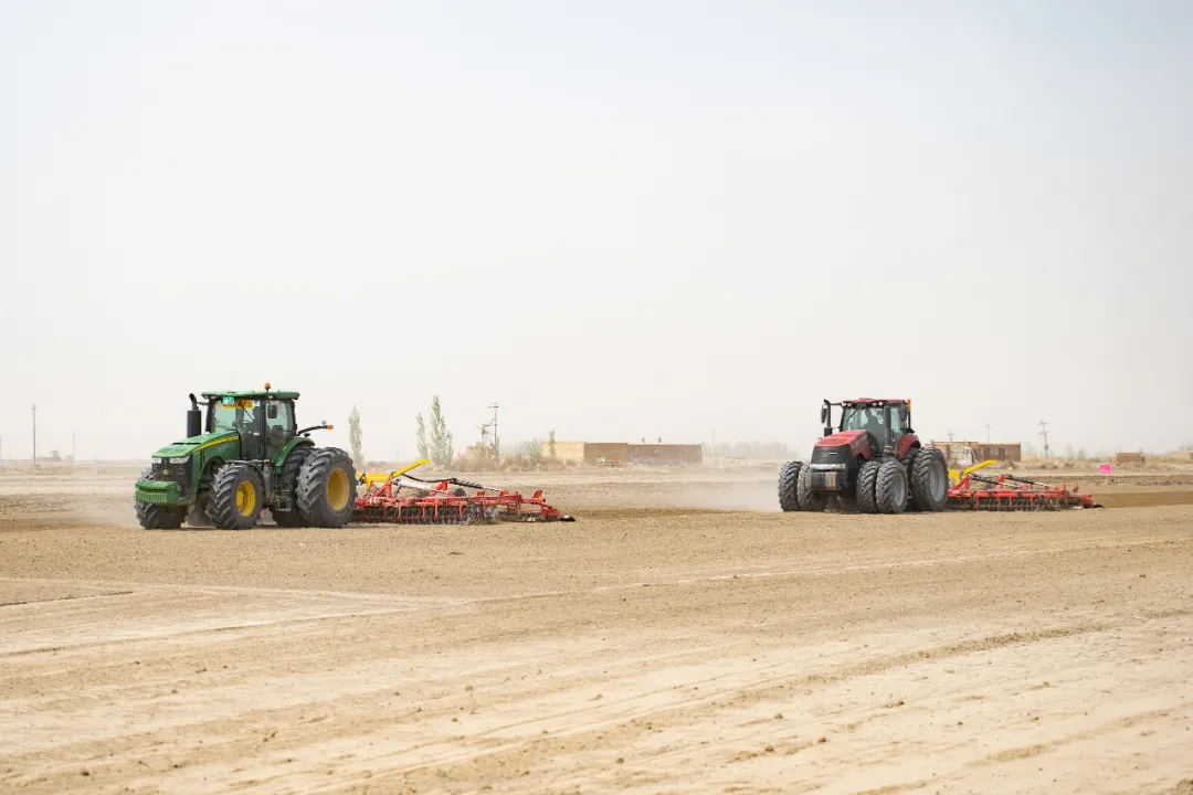 超級(jí)棉田喜獲豐收，極飛科技打造鄉(xiāng)村振興新樣本