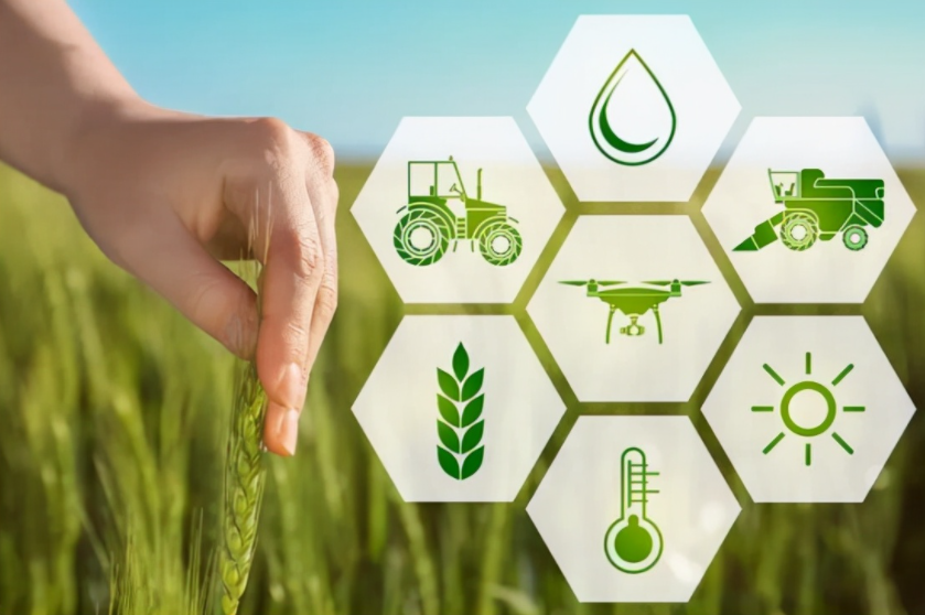 振興鄉(xiāng)村：大力發(fā)展智慧農(nóng)業(yè)，智慧農(nóng)業(yè)迎來(lái)春天