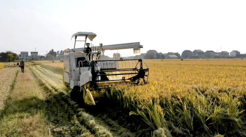 豐疆智能：加速落地&ldquo;無人農場&rdquo;，賦能鄉村振興！